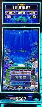 Bônus Diários 5567